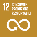 icon 12 agenda 2030